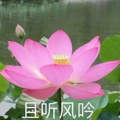 津门奇谭手游下载